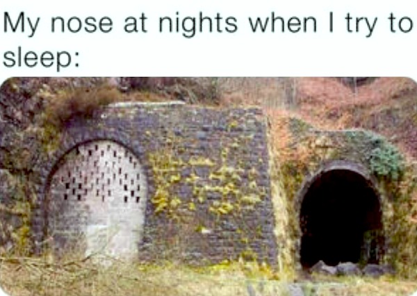 too true memes -  my nose at night meme - My nose at nights when I try to sleep