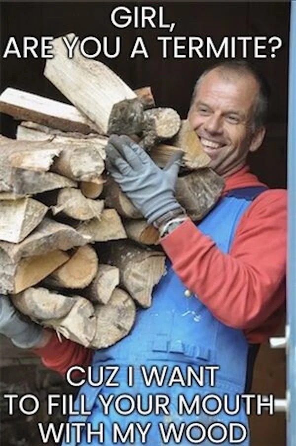 spicy memes for Thirsty Thursday - photo caption - Girl, Are You A Termite? Cuz I Want To Fill Your Mouth With My Wood
