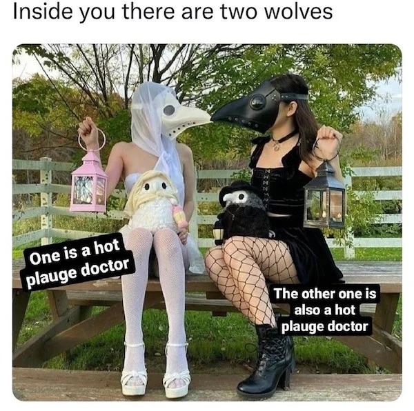 spicy memes for Thirsty Thursday - Funny meme - Inside you there are two wolves One is a hot plauge doctor The other one is also a hot plauge doctor