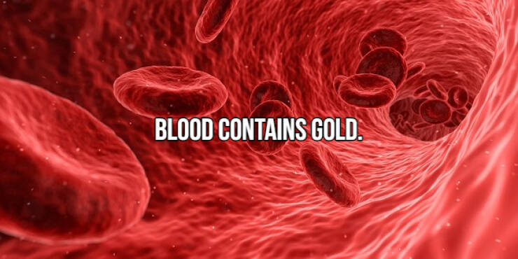 fascinating facts - Blood Contains Gold.