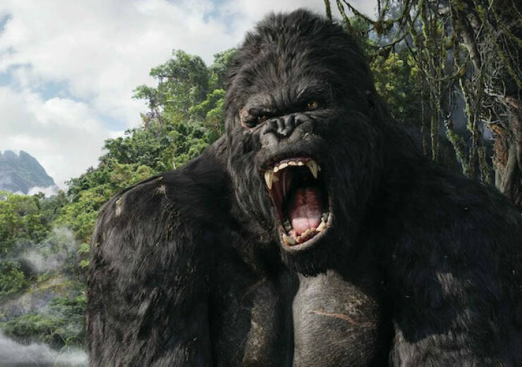 King Kong (2005) // $287 million