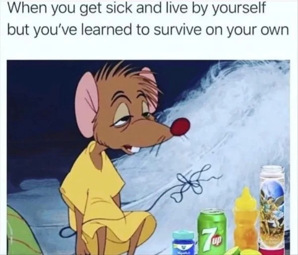 things that are depressing - cartoon - When you get sick and live by yourself but you've learned to survive on your own Ak P up