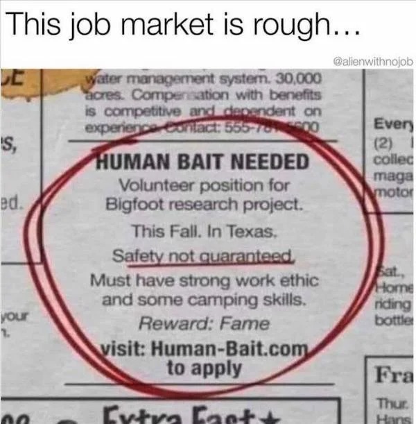things that are depressing - human bait meme - This job market is rough... water management system. 30,000 acres. Compensation with benefits is competitive and dependent on experience Contact 555786500 'S, ed. your 1. no Human Bait Needed Volunteer positi