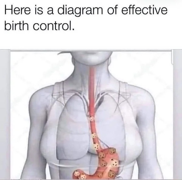 neck - Here is a diagram of effective birth control.