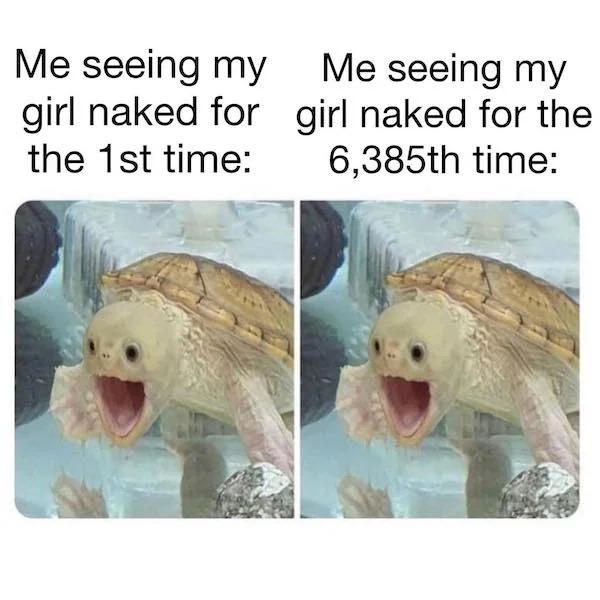 random memes - Me seeing my Me seeing my girl naked for girl naked for the the 1st time 6,385th time