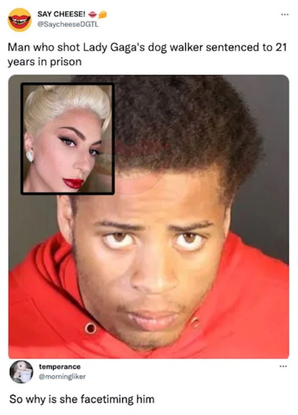 the funniest tweets of the year - lady gaga dog walker - Say Cheese! Man who shot Lady Gaga's dog walker sentenced to 21 years in prison temperance So why is she facetiming him
