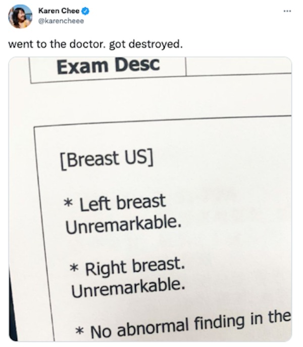 the funniest tweets of the year - right breast unremarkable meme - Karen Chee went to the doctor. got destroyed. Exam Desc Breast Us Left breast Unremarkable. Right breast. Unremarkable. No abnormal finding in the