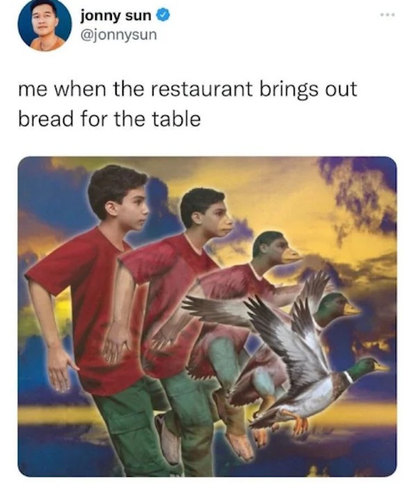 the funniest tweets of the year - animorphs books - jonny sun me when the restaurant brings out bread for the table