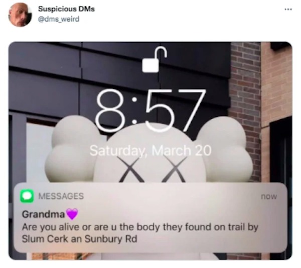 the funniest tweets of the year - Funny meme - Suspicious DMs Messages Saturday, March 20 X X Grandma Are you alive or are u the body they found on trail by Slum Cerk an Sunbury Rd now www