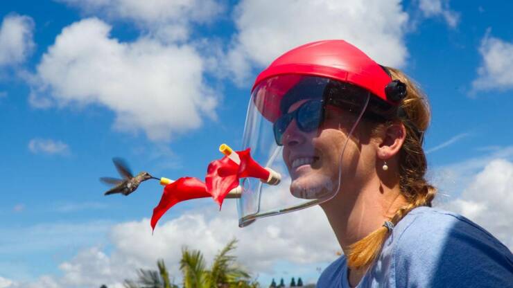 awesome pics and cool thigns - shark tank hummingbird mask