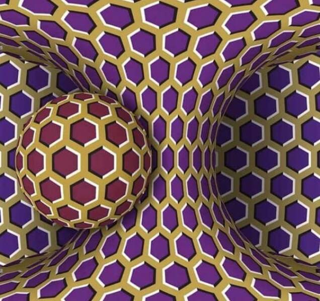 pics that make you look twice - do optical illusions trick your brain