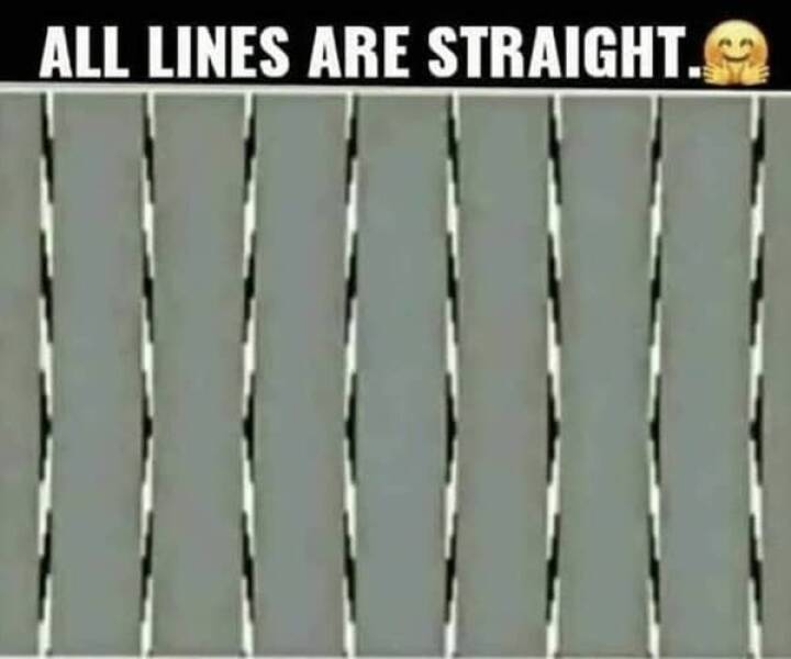 pics that make you look twice - net - All Lines Are Straight. G