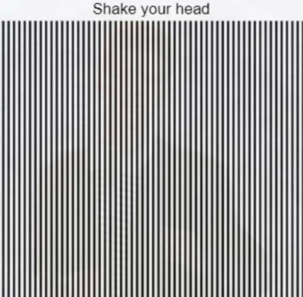 pics that make you look twice - pattern - Shake your head