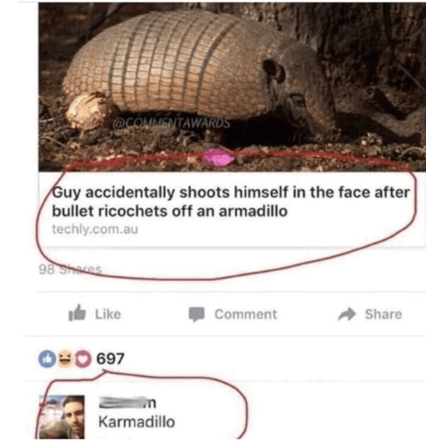 savage comments and replies - man shoots armadillo - Guy accidentally shoots himself in the face after bullet ricochets off an armadillo techly.com.au 98 0697 Karmadillo Comment
