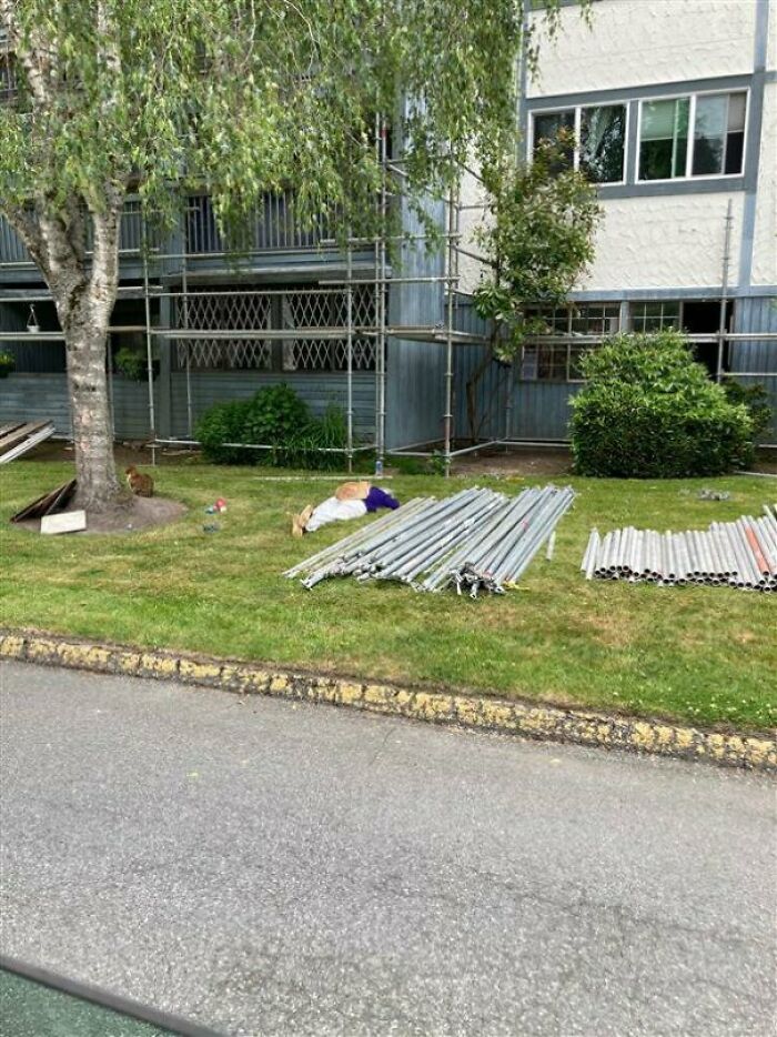 Not Sure If This Belongs Here But My Colleague Sent Me This Picture Of This Lady At Our Work Site. She Moved Some Of The Scaffolding To Have A Nap On The Grass. I Don't Think It Crossed Her Mind That Workers Would Be Working Above Her And The Risk Of Things Falling On Her. What A Complete Dumbass