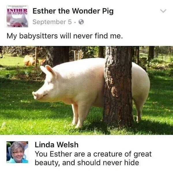 I would have to agree that Esther is indeed beautiful. 