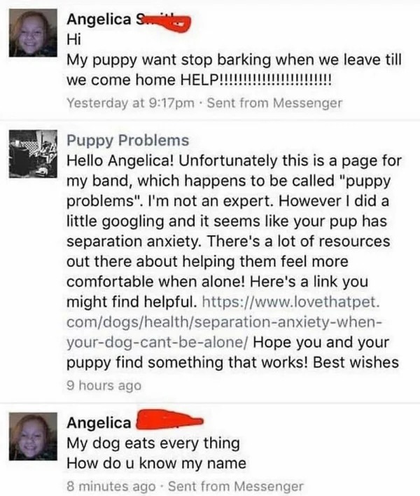 Social media fails - Hi My puppy want stop barking when we leave till we come home Help!!!!!!!!!!!!!!!!!!!!!!!! Yesterday at pm Sent from Messenger Puppy Problems Hello Angelica! Unfortunately this is a page for my band, which happens to be called