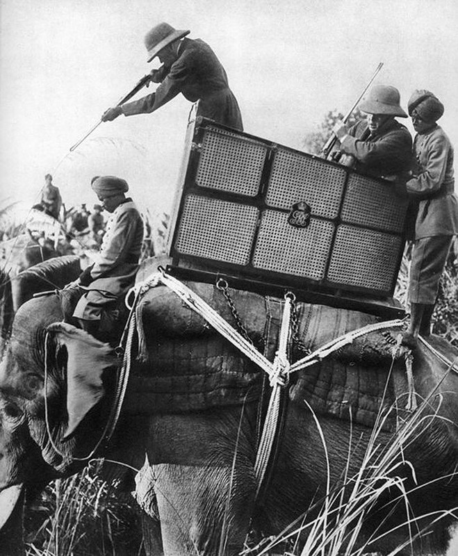 fascinating pics from history - King George V shooting tigers from above an elephant, Nepal, 1911.