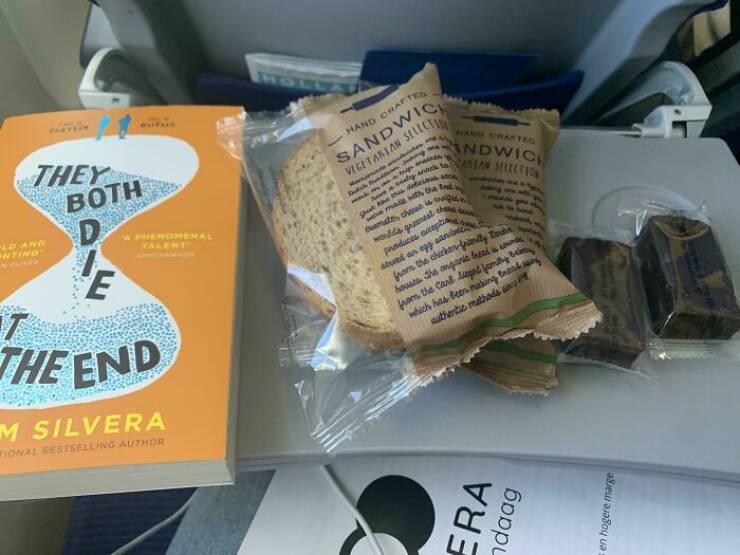 "Today I Was On A 2 1/2 Hour Flight So We Were Only Served An Egg Salad Sandwich And A Brownie Later On. I Really Liked The Sandwich And Asked The Flight Attended For Another One, Not Only Did She Give Me 2 Sandwiches But Also 2 Brownies! I Hope Everyone Has A Nice Day!"