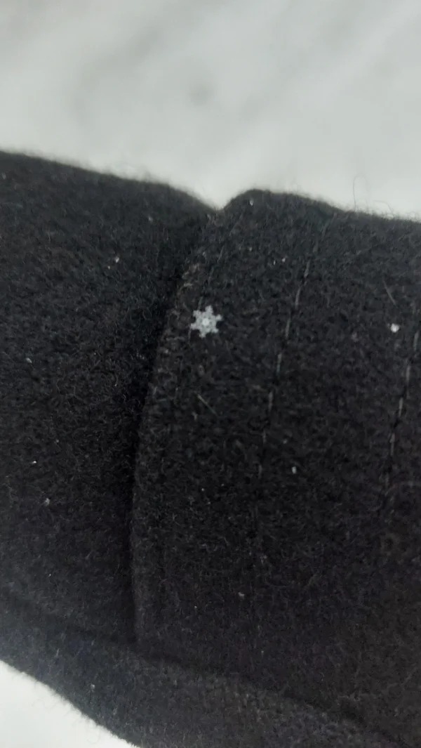“This absolutely perfect snowflake that fell on my coat.”