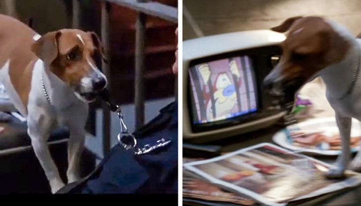 In the movie The Mask, starring Jim Carrey in 1994, in the scene where Milo helps Stanley escape after being arrested, we can see that the police officer guarding the cell is watching the cartoon show Ren and Stimpy, where, coincidentally, Stimpy is also arrested.