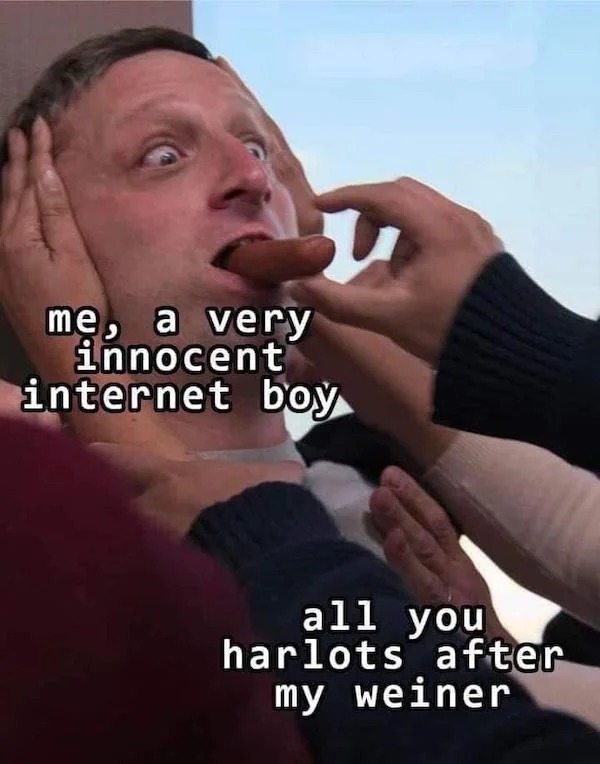 tantric tuesday spicy memes - nsfw memes 2022 - me, a very innocent internet boy all you harlots after my weiner