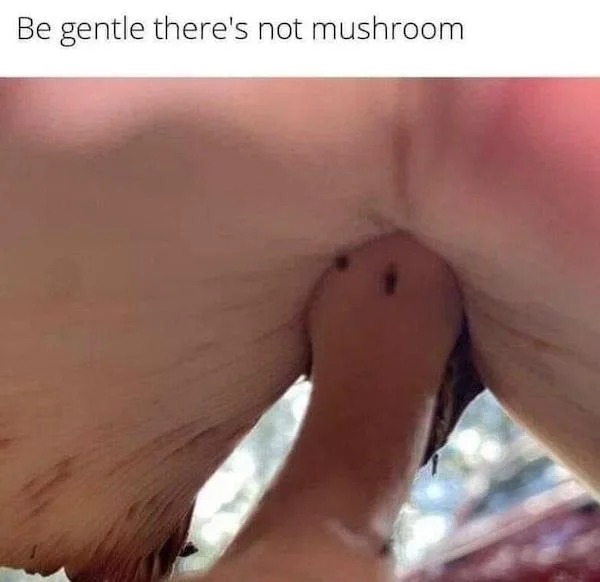 tantric tuesday spicy memes - close up - Be gentle there's not mushroom