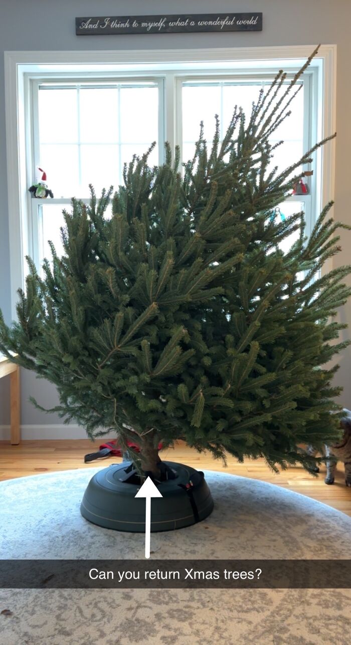 30 People Having A Worse Christmas Than You.