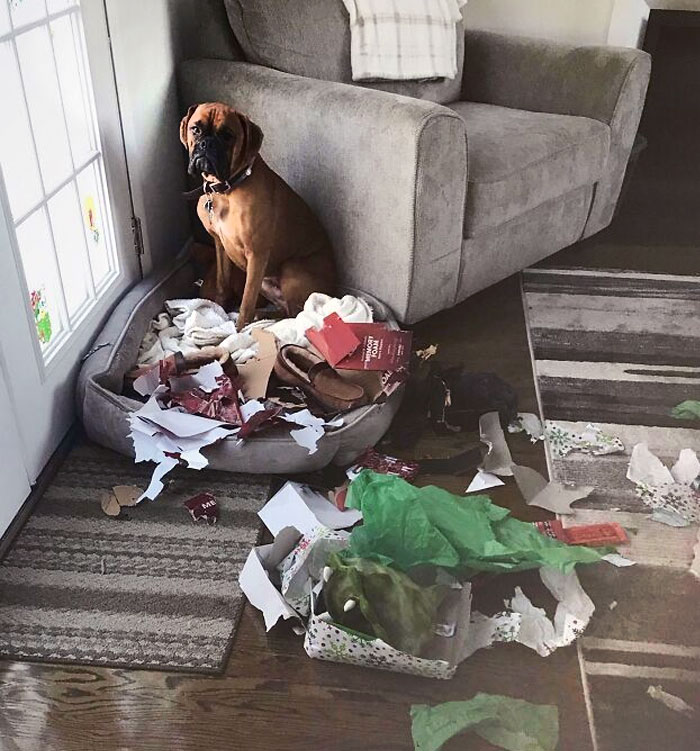 30 People Having A Worse Christmas Than You.