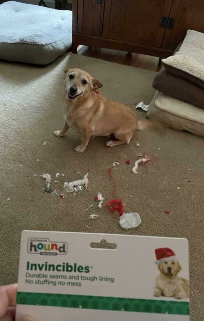 30 People Having A Worse Christmas Than You.