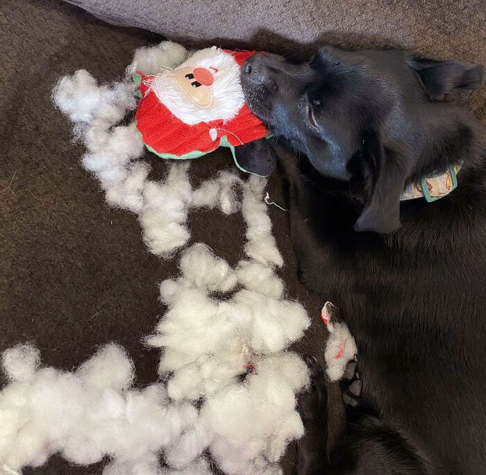 30 People Having A Worse Christmas Than You.