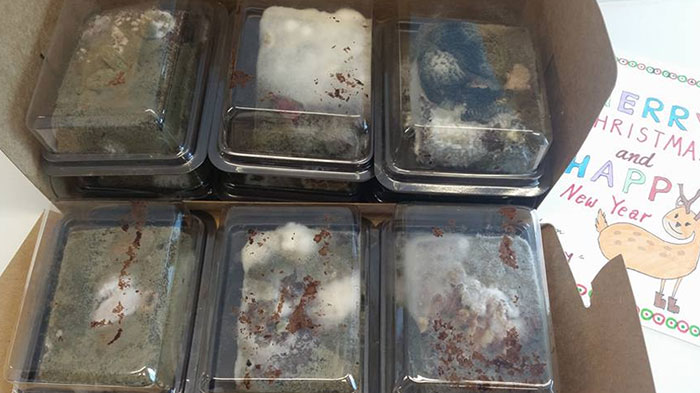 30 People Having A Worse Christmas Than You.