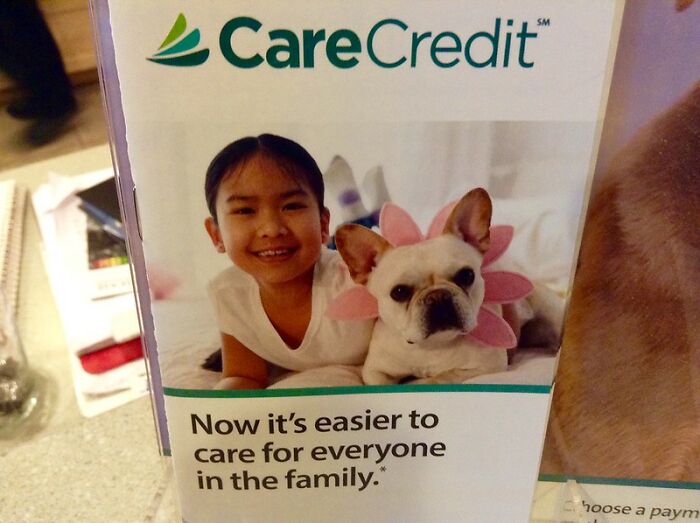 CareCredit. People always think vet offices tell you to apply to “our credit cards” so you can pay your bill because we don’t offer payment plans. It is not just for vet hospitals but any medical service. You get 6 months 0% interest for whatever amount you are approved for and it is an outside company. Vet hospitals don’t usually offer payment plans bc people don’t pay and then they get sent to collections. We can’t afford to not have income. Ask anyone who works at a clinic and I bet you they are getting by paycheck yo paycheck. Even DVMs aren’t making much considering they graduate with just as much student loans as an MD.