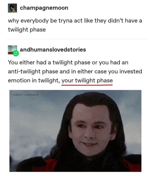 funny comments and replies - photo caption - champagnemoon why everybody be tryna act they didn't have a twilight phase andhumanslovedstories You either had a twilight phase or you had an antitwilight phase and in either case you invested emotion in twili