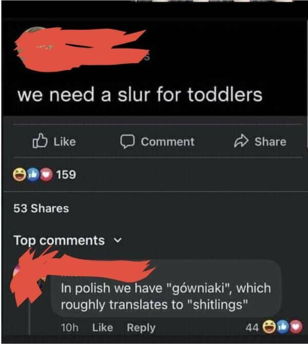 funny comments and replies - screenshot - we need a slur for toddlers 159 53 Top Comment In polish we have "gwniaki", which roughly translates to "shitlings" 10h 44