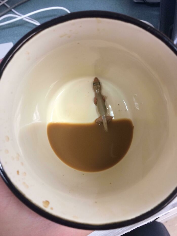 people having a bad day at work - cup