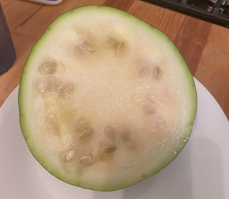 “My dad spent all summer growing this watermelon only for it to be just rind and seeds.”