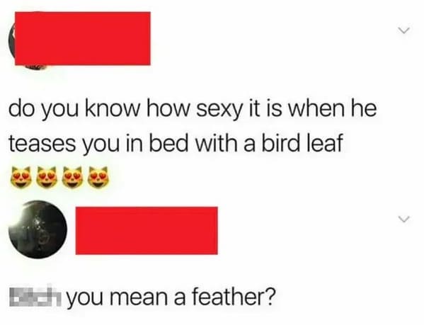 Cringey posts - bird leaf meme - do you know how sexy it is when he teases you in bed with a bird leaf you mean a feather?