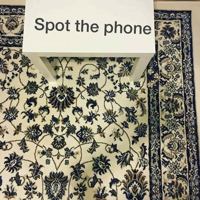 hiding in plain sight - spot the phone - Spot the phone 83 888 Exe