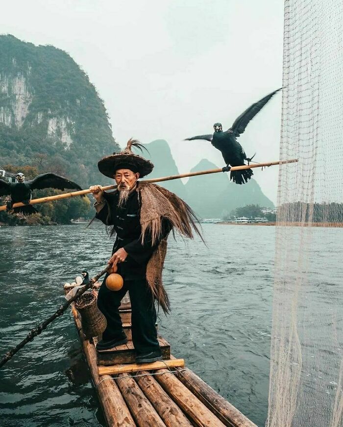 86-Year-Old Lao Huang, A Cormorant Fisherman Living In Yangshuo, China