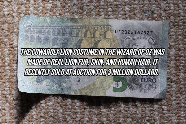 18 Random Facts To Fill Your Head With.