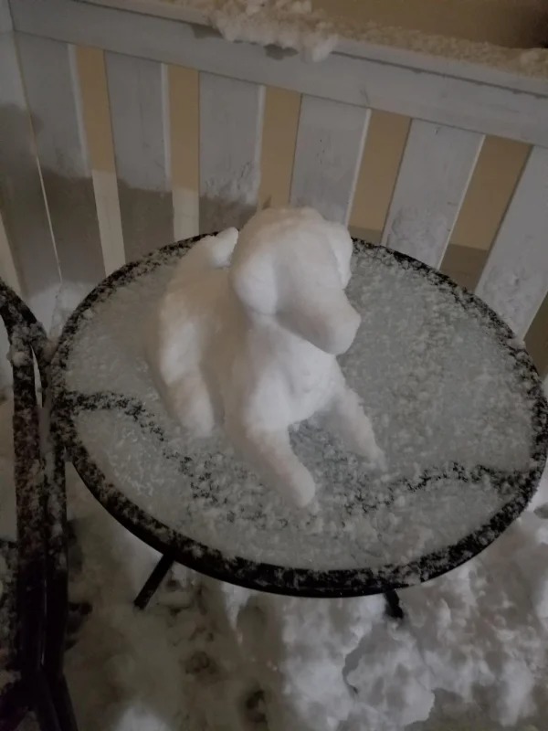 “This snow puppy my wife casually threw together.”