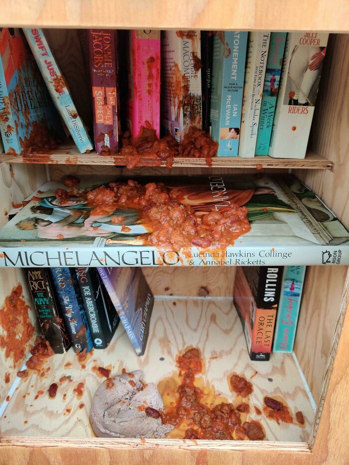Neighbour Built A Community Library. Last Night Someone Dumped Chili And Cat Food Inside.