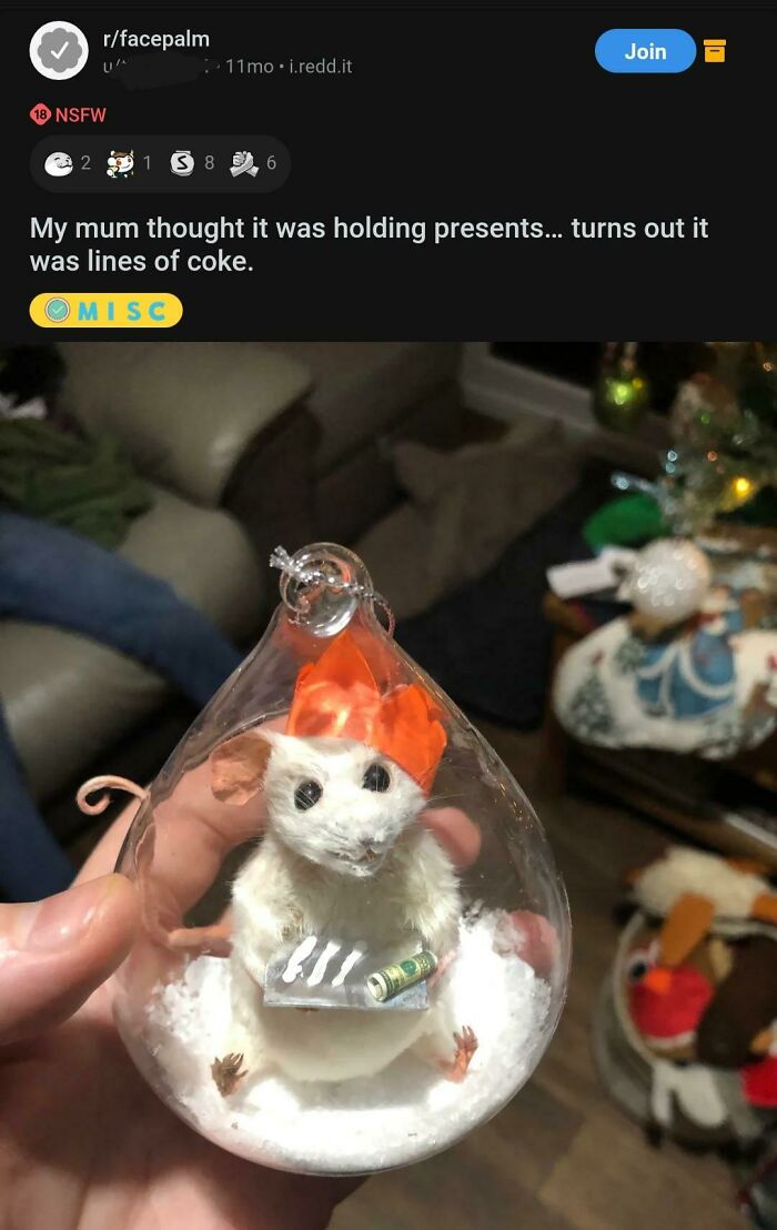 Accidental Comedy - cocaine christmas ornament - rfacepalm U 18 Nsfw 2 1 S 8 11mo. i.redd.it 6 Join My mum thought it was holding presents... turns out it was lines of coke. Misc Ond