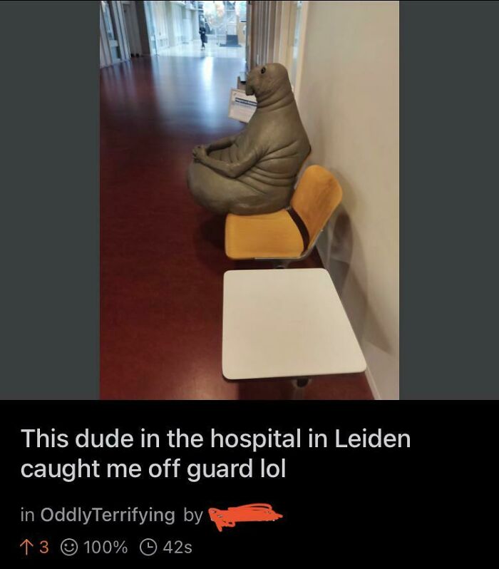 Accidental Comedy - vasectomy meme - This dude in the hospital in Leiden caught me off guard lol in Oddly Terrifying by 13100% 42s