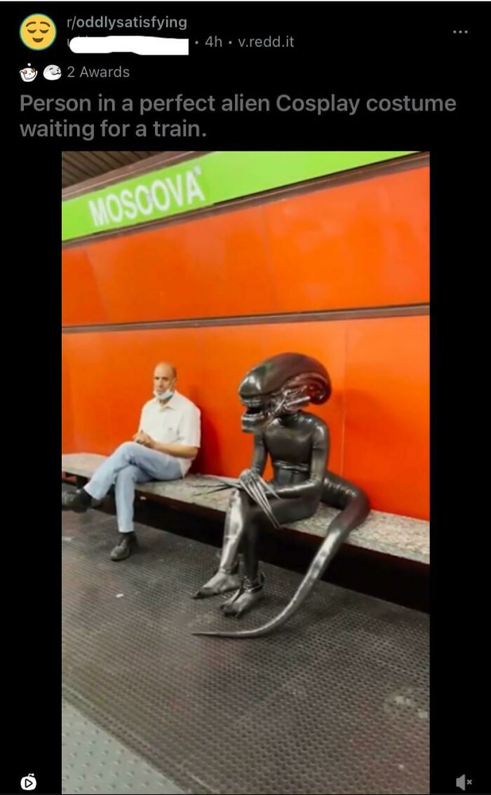 Accidental Comedy - roddlysatisfying 4h. v.redd.it 2 Awards Person in a perfect alien Cosplay costume waiting for a train. Moscova
