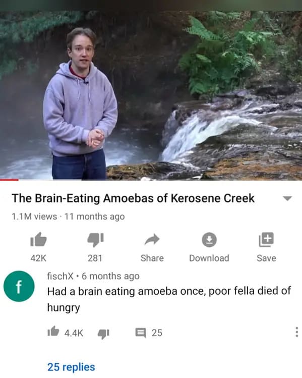 funny youtube comments 2020 - The BrainEating Amoebas of Kerosene Creek 1.1M views 11 months ago f 42K 281 fischX 6 months ago Had a brain eating amoeba once, poor fella died of hungry 25 replies Download Save 25