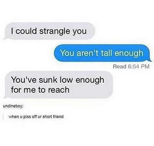 savage replies when someone calls you short - I could strangle you You aren't tall enough Read You've sunk low enough for me to reach undineboy when u piss off ur short friend