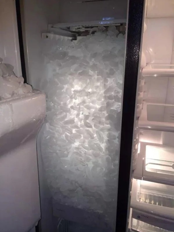 whoops wednesday - freezer full of ice cubes