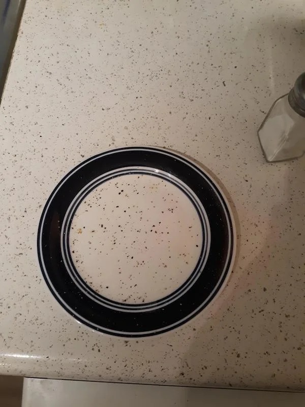 Accidentally recreated my kitchen counters pattern on a plate while seasoning a burger